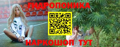 спайс Будённовск