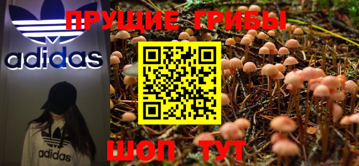 Псилоцибиновые грибы мицелий  Вход с VPN  Родники  Галлюциногенные грибы MAGIC MUSHROOMS 