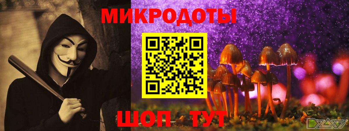 Псилоцибиновые грибы Magic Shrooms Родники